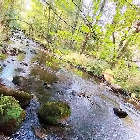 아파트 Ferienhaus- Gruppenunterkunft Mit Festsaal, Fruehstueck, Halbpension Extra Buchbar